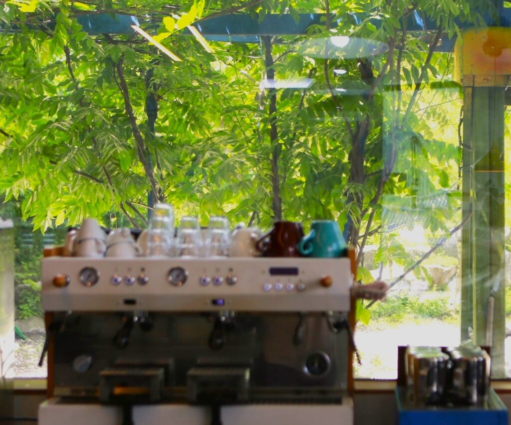 MGM7734 1 e1763411493841